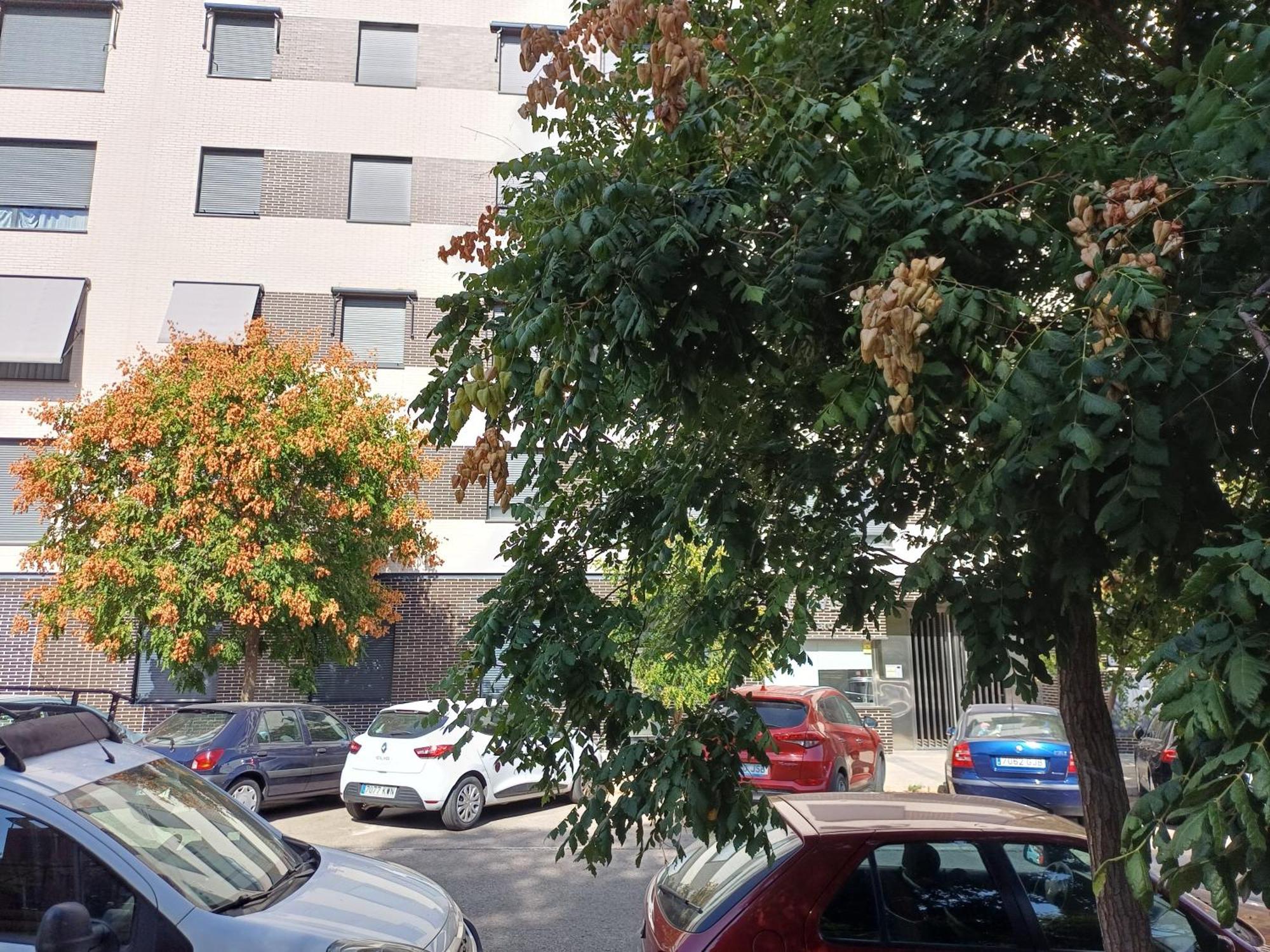Estudios Nuevos Madrid Centro Kültér fotó